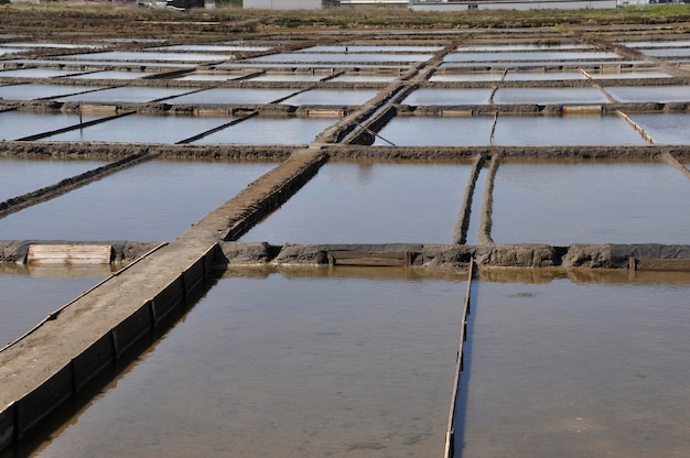 Le saline di Aveiro in Portogallo