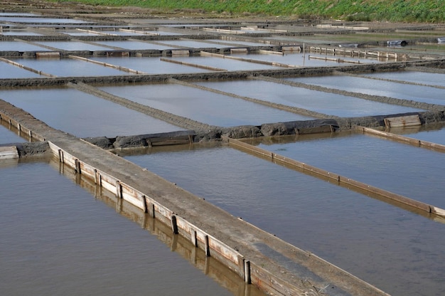 Le saline di Aveiro in Portogallo