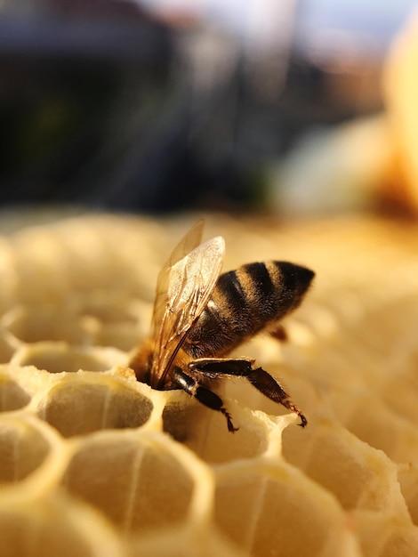 Le scelte della settimana su EyeEm