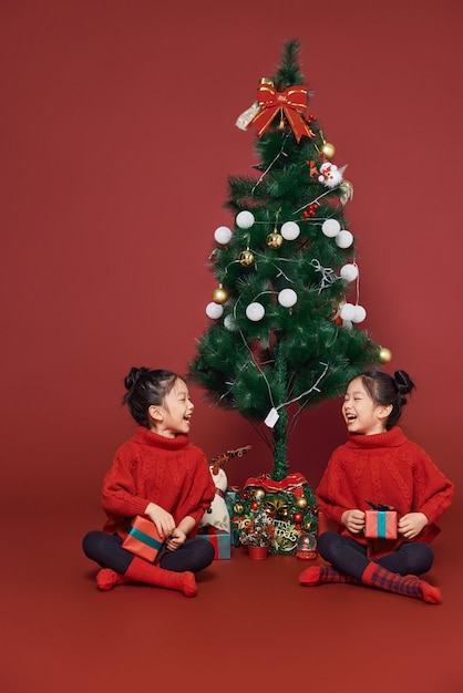 Le sorelline gemelle festeggiano le vacanze di Natale