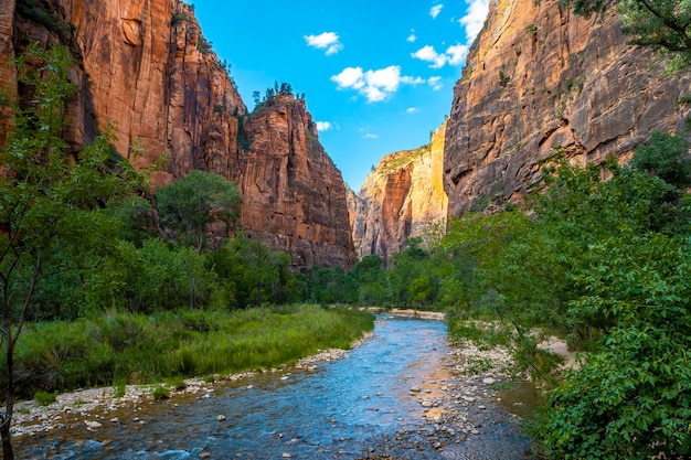 Le splendide viste sul canyon del parco nazionale di Zion negli Stati Uniti