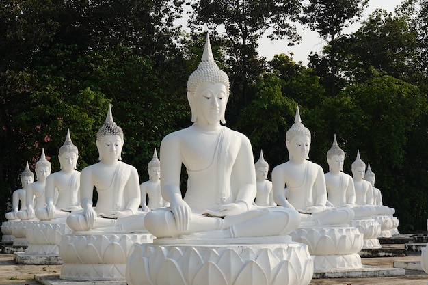 le statue bianche del Buddha sono disposte in belle file