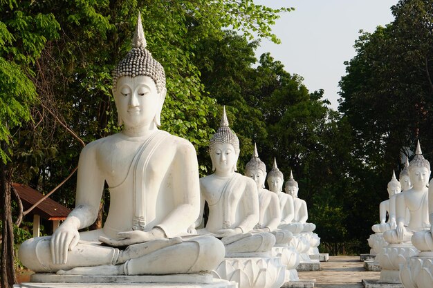 le statue bianche del Buddha sono disposte in belle file