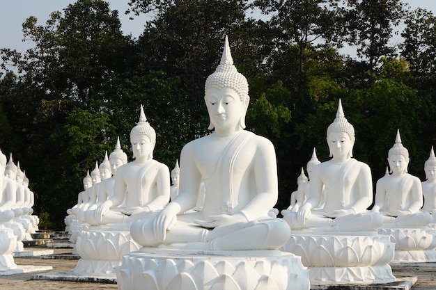 le statue bianche del Buddha sono disposte in belle file