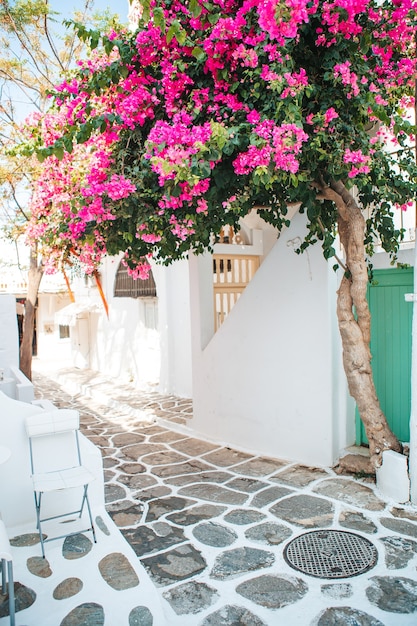 Le strade strette dell'isola con balconi blu, scale e fiori in Grecia.