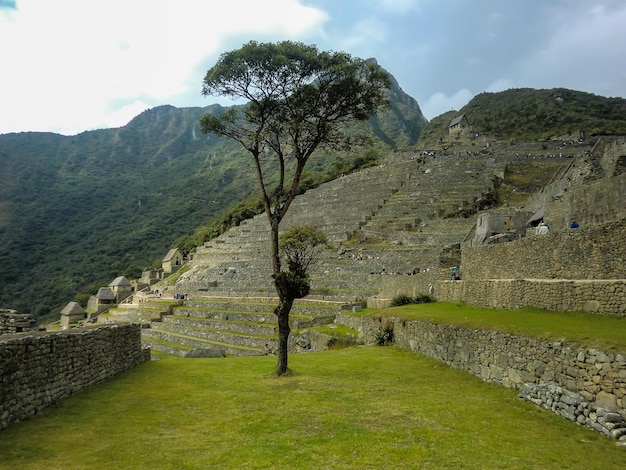 Le strutture a terrazze o piattaforme dell'Impero Inca a Machu Picchu Cusco Cuzco Perù