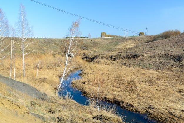 Le tanto attese insenature primaverili scorrono su burroni e colline in una giornata di sole. Rapide d'acqua e cascate di ruscelli tra l'erba secca. Bellissimo paesaggio primaverile.