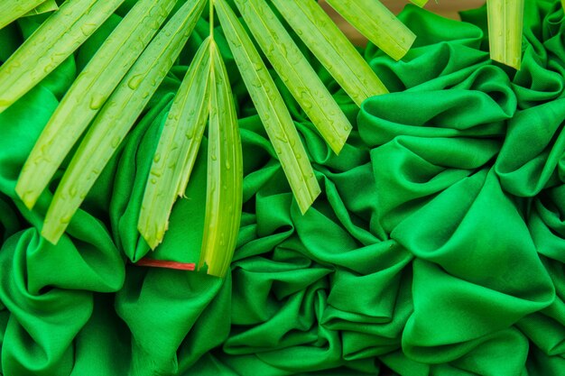 Le tende verdi hanno fatto i fiori, fondo di struttura.