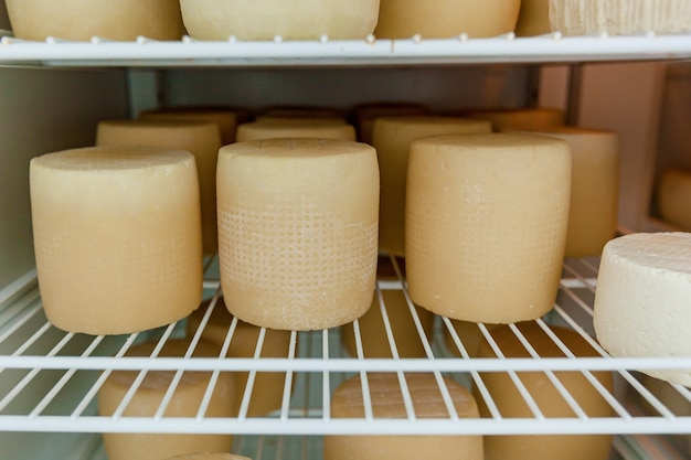 Le teste di formaggio vengono fatte essiccare su graticci nel caseificio. Laboratorio per la produzione di formaggio in un'azienda ecologica.