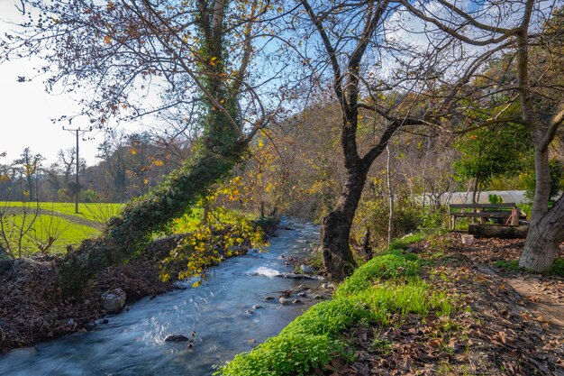 le ultime bellezze dell'autunno prima dell'inizio dell'inverno