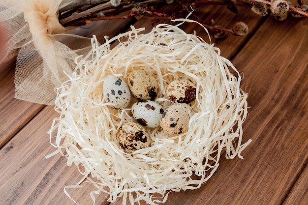 Le uova di quaglia di Pasqua nel nido e nel salice si ramificano su un fondo di legno, spazio della copia