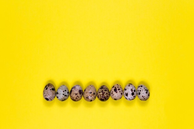 Le uova di quaglia giacciono in fila su uno sfondo giallo