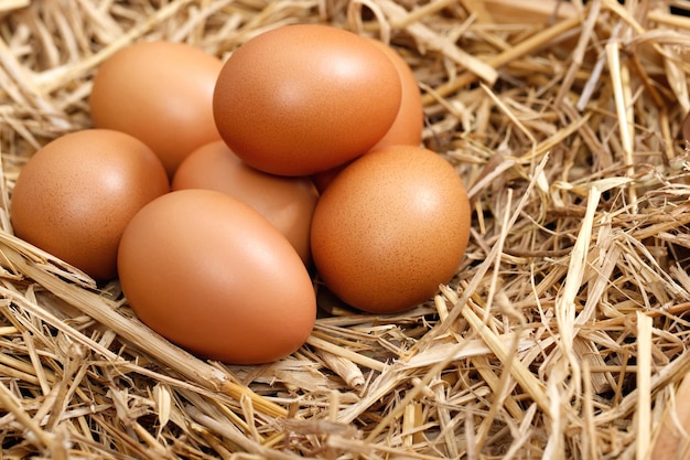 Le uova fresche sono pronte per la colazione in fattoria