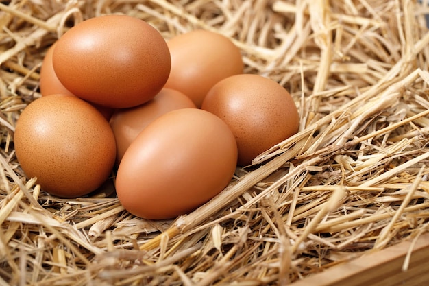 Le uova fresche sono pronte per la colazione in fattoria