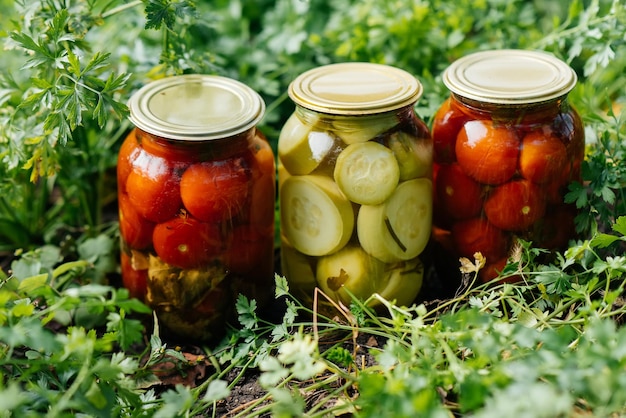 Le verdure in scatola in lattina sono nel mezzo del giardino. Raccogliendo e preparando le provviste per l'inverno