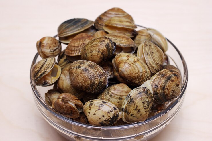 Foto le vongole sono preparate per la cottura. vongole fresche