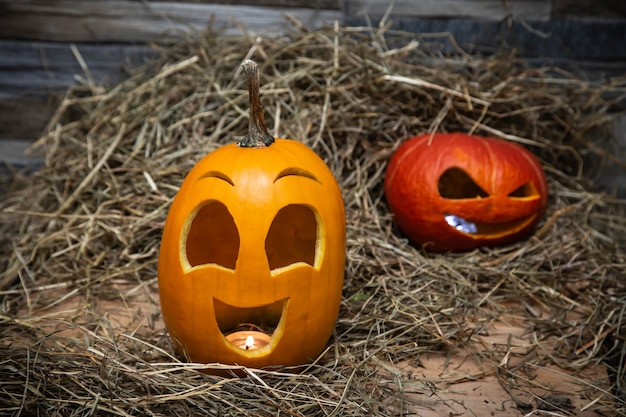 Le zucche di halloween rosse e gialle giacciono sul fieno Jackolantern giallo