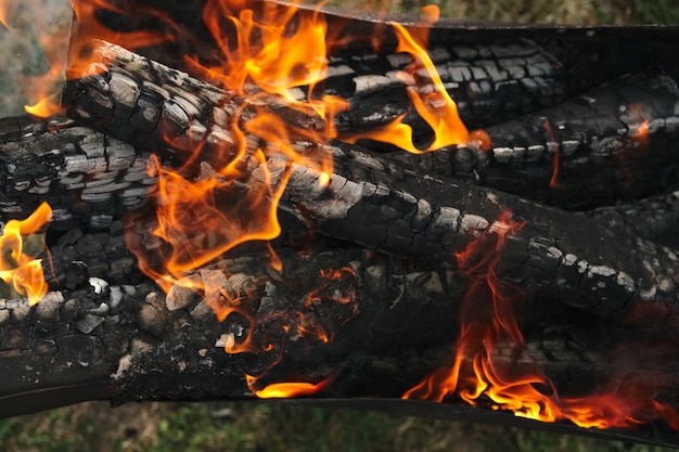 Legna da ardere bruciante nel fuoco all'aperto