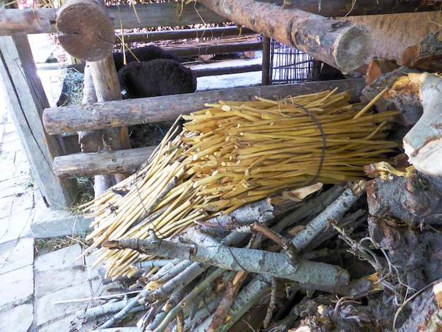 Legna da ardere preparata per l'inverno