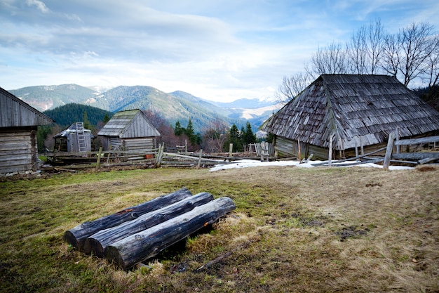 Legna da ardere sul campo davanti alla foresta