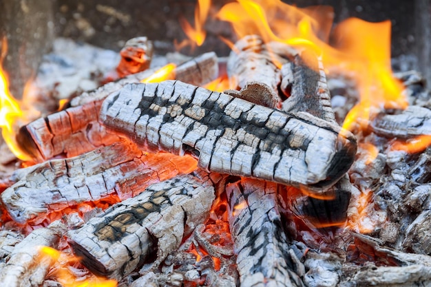 Legna da ardere sulla griglia. Fuoco ardente, primo piano della fiamma del fuoco, legna da ardere bruciante.