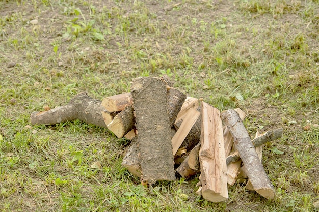 Legna tagliata per un camino sull'erba