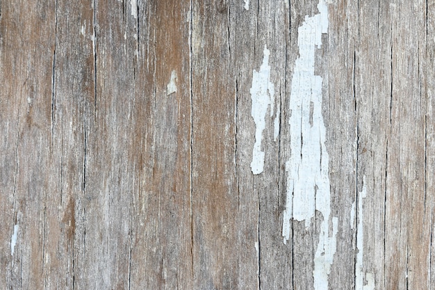 Legno bianco grunge