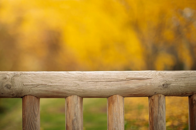 Legno con foglie naturali