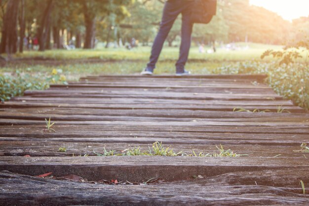 Legno di passerelle nel parco.