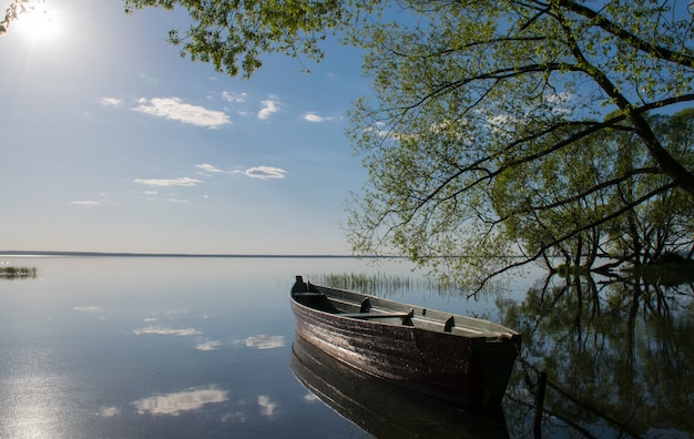 Legno di verde di estate del lago sun della barca