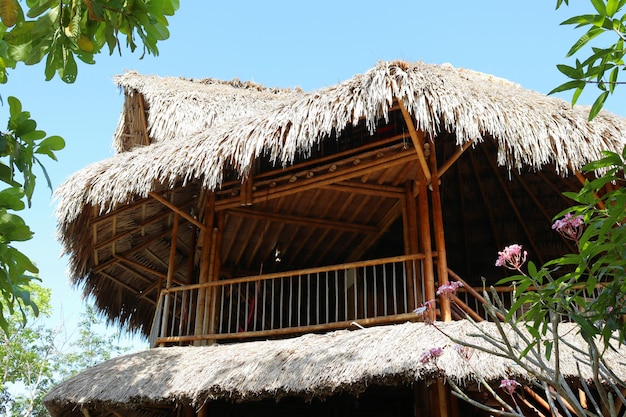 Legno naturale della casa di bambù Albero di arte di struttura della casa di eco nei tropici