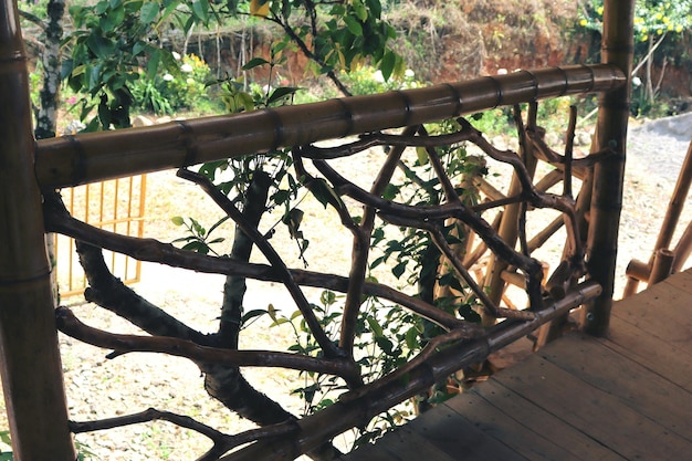 Legno naturale della casa di bambù Albero di arte di struttura della casa di eco nei tropici