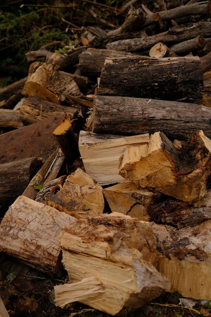 Legno tagliato accatastato per l'inverno con la luce del sole