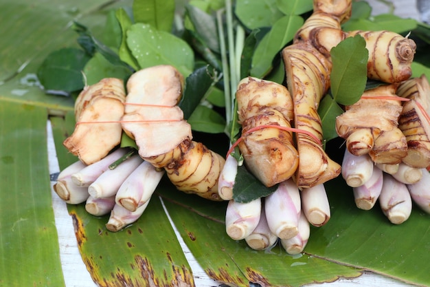 Lemongrass e galangal al mercato