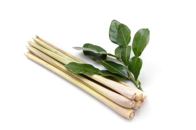 Lemongrass e kaffir lime leavesxAon sfondo bianco