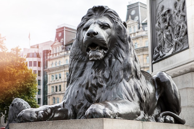 Leone a Trafalgar Square Londra, Regno Unito