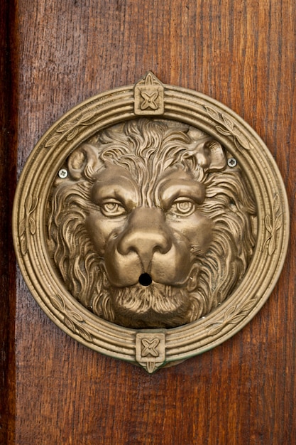 Leone bronze italiano antico su fondo marrone di legno