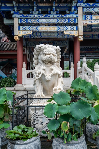Leone di pietra del cancello dell'edificio in stile cinese