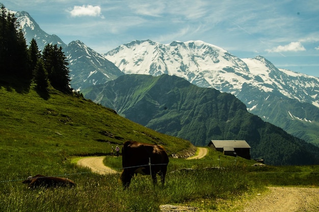 Les Houches in Haute Savoie in Francia