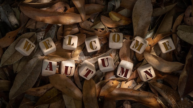 Lettera d'autunno di benvenuto in blocchi di legno