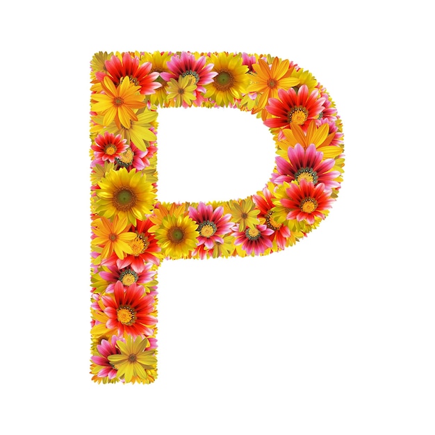 Lettera di fiori P