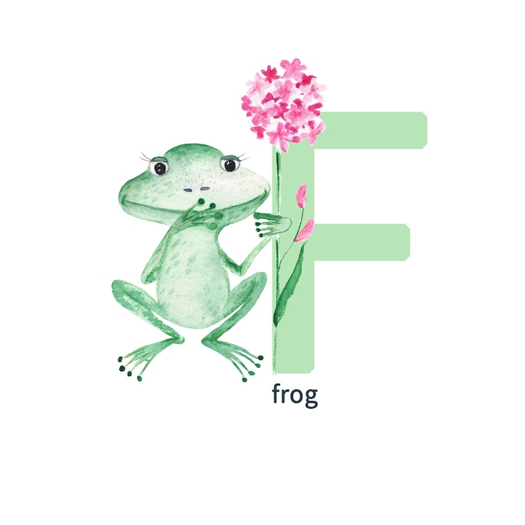 Foto lettera f rana bambini carini animali colorati abc alfabeto illustrazione acquerello isolato su sfondo bianco