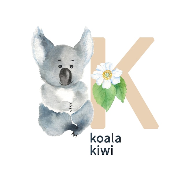 Lettera K koala e kiwi simpatici bambini animali colorati e fiori alfabeto ABC