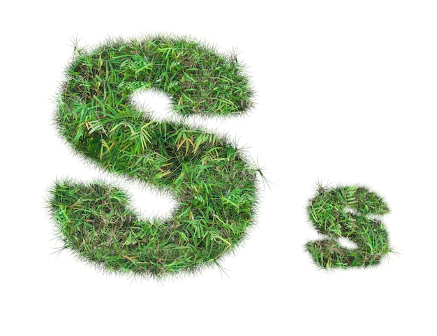 Lettera S su erba verde isolata
