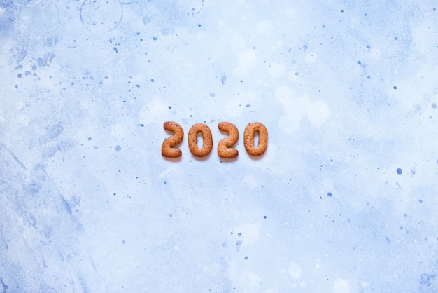 Lettere 2020 Biscotti di pan di zenzero di Buon Natale
