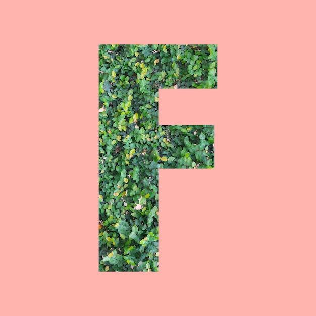 Lettere dell'alfabeto di forma F in stile foglia verde su sfondo rosa pastello per il design nel tuo lavoro.