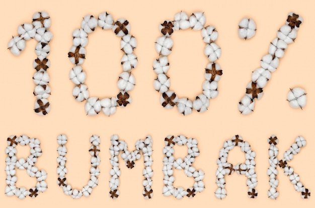 Lettering 100 bumbac dalla lingua rumena significa cotone fatto di fiori di cotone Concept organico
