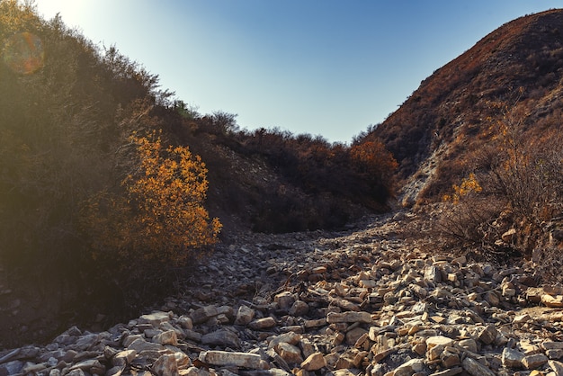 Letto asciutto di un fiume di montagna