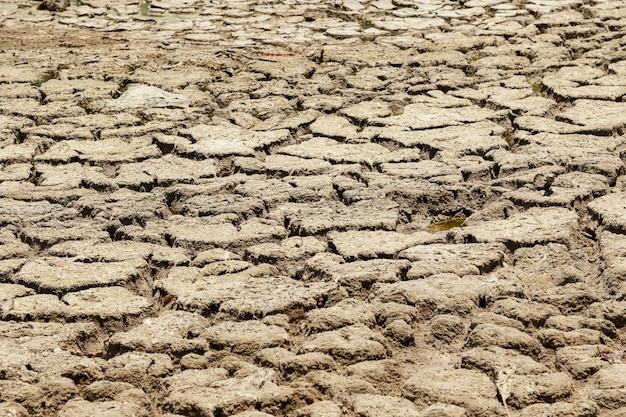 Letto del lago asciutto. Terra di siccità. Concetto di cambiamenti climatici e riscaldamento globale.