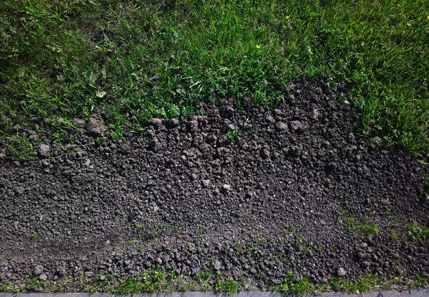 Letto di semina vuoto sullo sfondo del giardino estivo